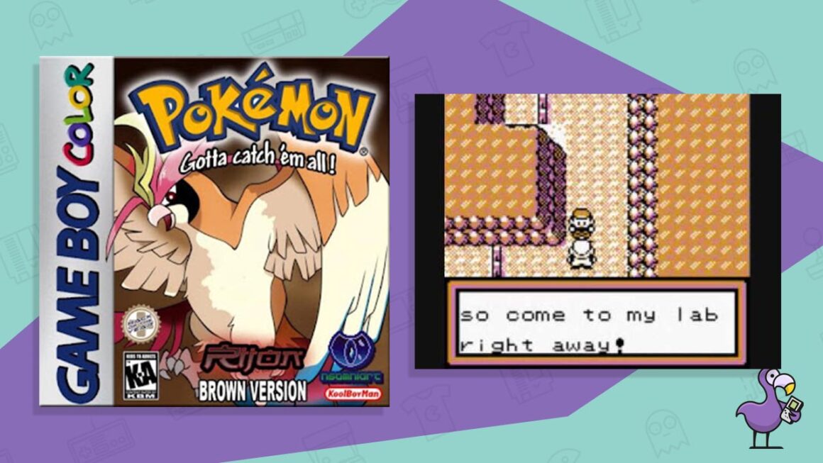 pokemon marrón