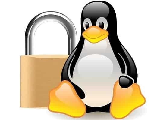 Linux vs seguridad de Windows